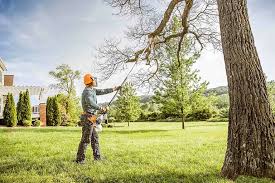 Best Hazardous Tree Removal  in Remlap, AL